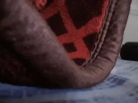 Steffan55 online show from February 17, 5:32 pm