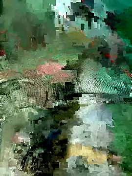 Subhajit12Jana23 online show from March 19, 6:50 am