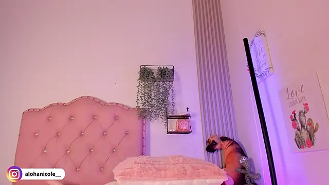 sweet nicole 11 online show from December 1, 3:06 pm