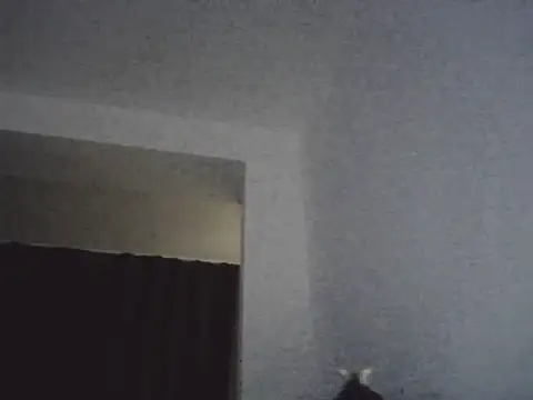 Snapshot of FallenDevil chatting on March 13, 7:09 pm FallenDevil online show from March 13, 7:09 pm