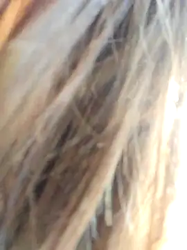 TassiTyne online show from November 4, 10:14 am