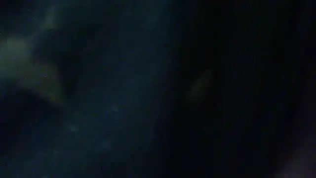 Snapshot of Billywax chatting on February 2, 9:30 am Billywax online show from February 2, 9:30 am