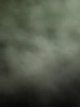 Prince R9 online show from January 22, 6:52 am