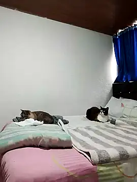 Vicky Rosse online show from November 1, 5:37 pm