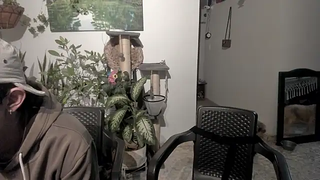 Snapshot of sexnherbs chatting on May 14, 3:13 am sexnherbs online show from May 14, 3:13 am