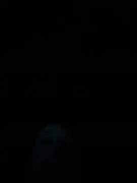 dropmoney online show from December 1, 5:01 am