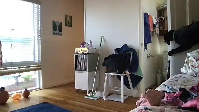 HYPHYtype online show from October 17, 10:01 pm