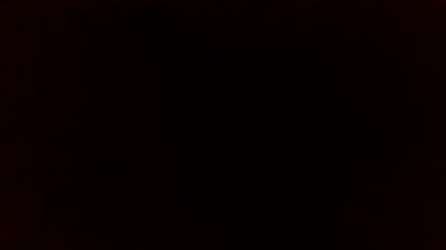 Star-Night online show from April 6, 6:36 am