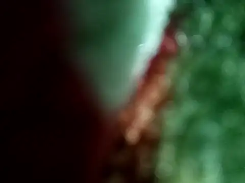 Rittik00 online show from January 11, 2:33 pm