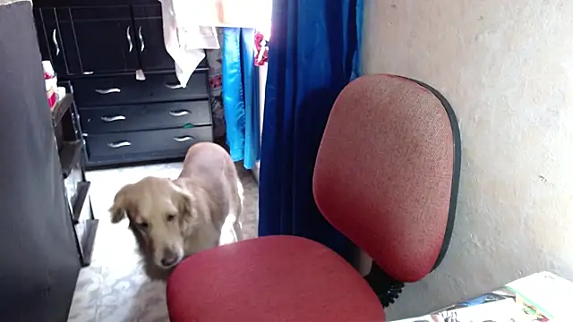 Barbiegomez online show from October 14, 4:41 pm