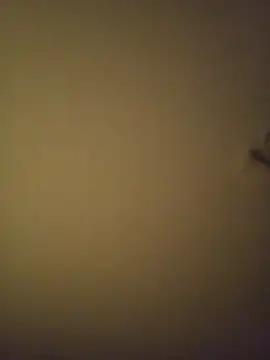 SMOKERBEASTBR online show from February 8, 6:17 am