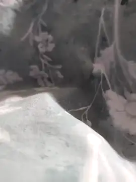 Elixire1 online show from January 6, 4:32 pm