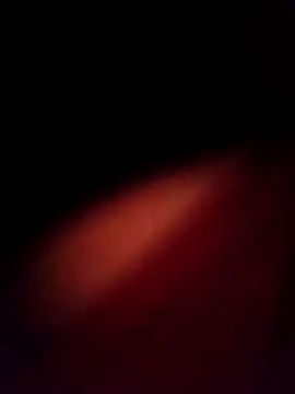 EISONREINA11 online show from October 20, 2:50 pm