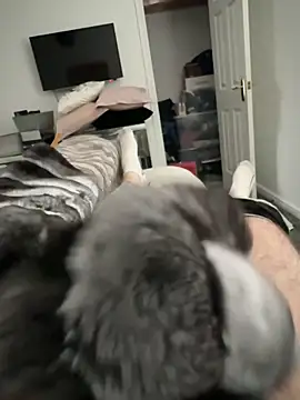 Furdale online show from October 17, 1:57 pm