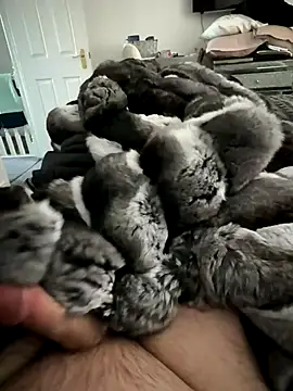 Furdale online show from November 15, 1:29 pm