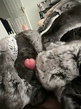 Furdale online show from February 22, 3:10 pm