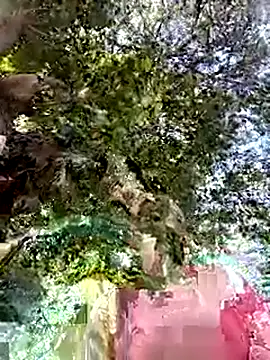 Nicolle Milf online show from September 24, 6:55 pm