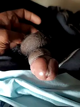 malluflash online show from November 29, 4:04 am