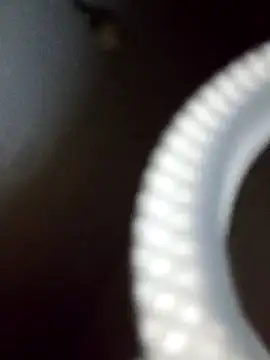 rodovlaz online show from February 19, 12:35 am