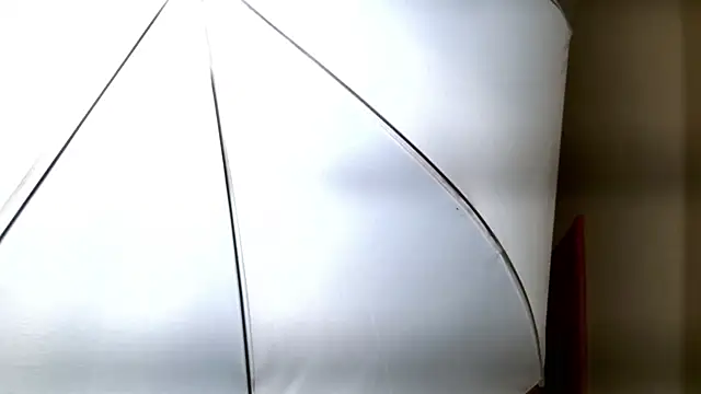 Snapshot of Ledy_Mary chatting on November 8, 4:51 pm Ledy Mary online show from November 8, 4:51 pm