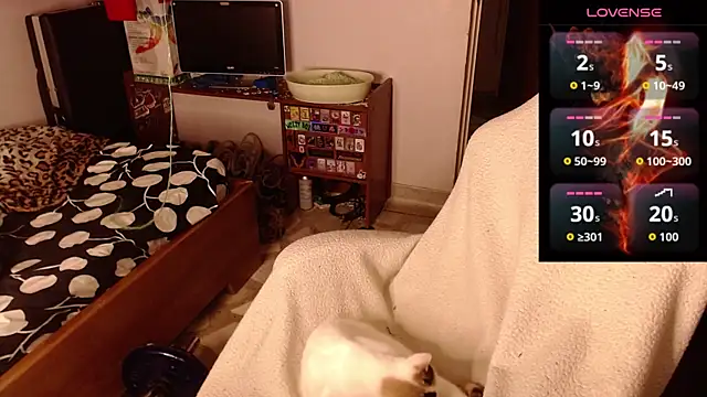 Apolo S online show from February 14, 8:33 am