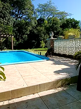 dutra498 online show from February 9, 7:18 pm