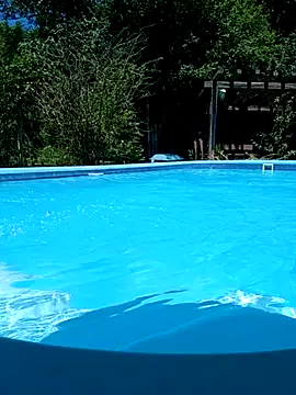 dutra498 online show from February 11, 4:23 pm