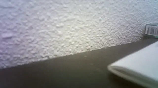 pau65vb online show from November 19, 8:03 am