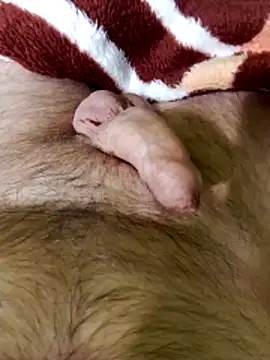 Robertvirt online show from February 16, 11:06 am