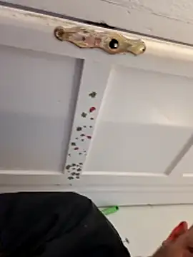 Percy ohv online show from June 9, 7:36 pm