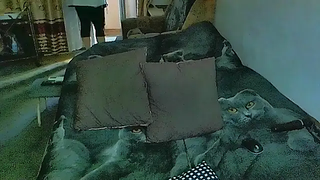 sex2 online show from November 17, 7:36 am