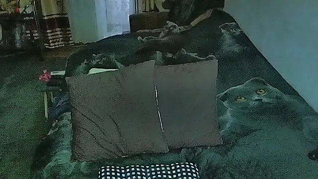 sex2 online show from April 9, 12:43 am