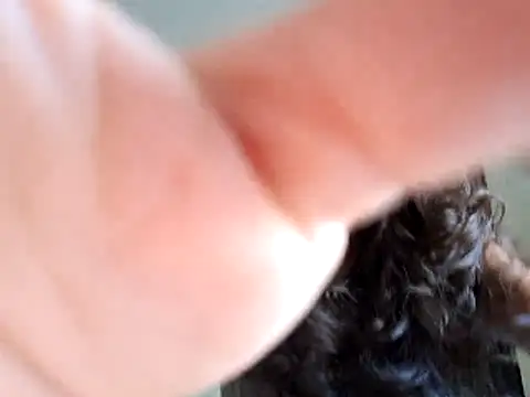 Abysparadise online show from November 11, 5:46 pm