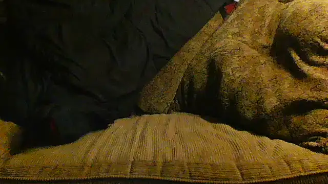 Yankeedave420 online show from April 13, 5:46 am