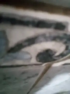 Junior013R online show from September 17, 7:15 pm