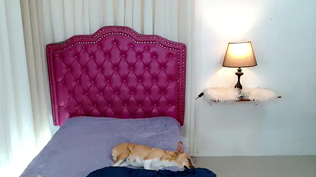 DreamLADYBOY online show from February 24, 1:03 am