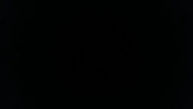 palidin1 online show from November 26, 1:17 am