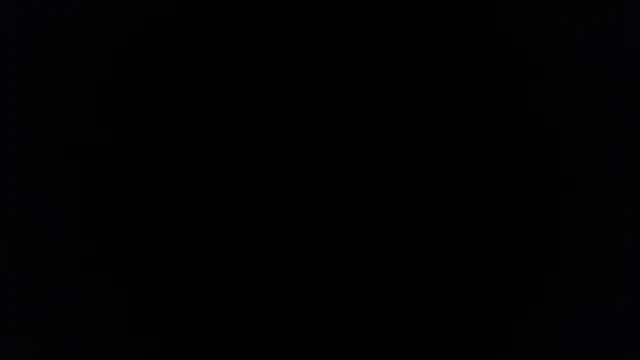 palidin1 online show from December 5, 7:43 pm