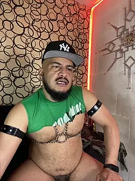 the master foal  online show from February 27, 7:03 pm