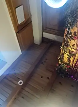 virginriverofficial online show from January 10, 11:56 am