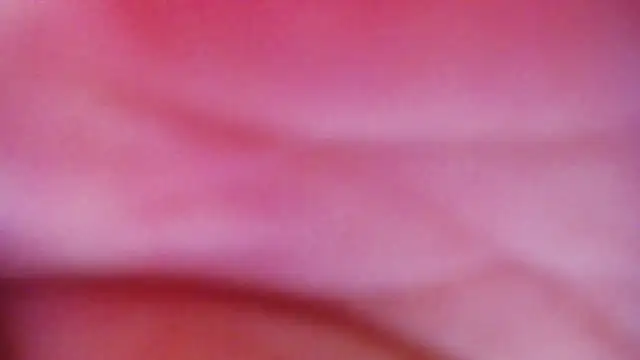 JessikaDaniel online show from April 16, 6:36 am