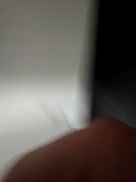 WhiteMeat069 online show from December 3, 12:13 am