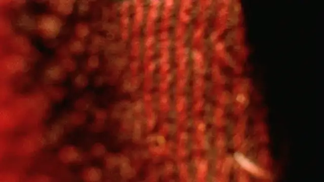 Snapshot of rockhead1971 chatting on October 18, 10:49 am rockhead1971 online show from October 18, 10:49 am