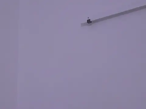 Snapshot of BustyMadison chatting on November 13, 9:19 am BustyMadison online show from November 13, 9:19 am