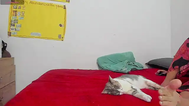 Hela wet online show from November 24, 5:34 pm