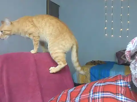 Olivia Bright online show from March 18, 10:13 pm