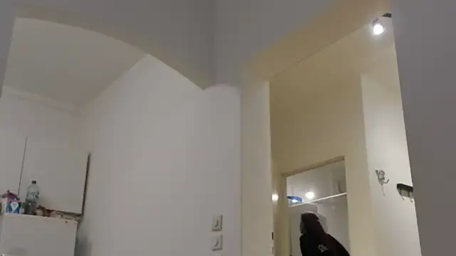 tamarapervert online show from November 20, 6:51 pm