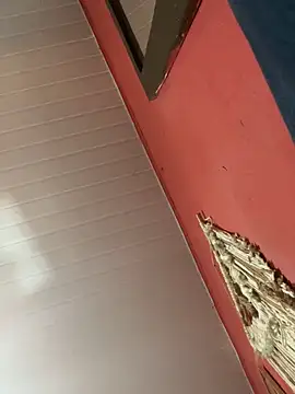 pimenta gaby online show from October 18, 1:01 pm