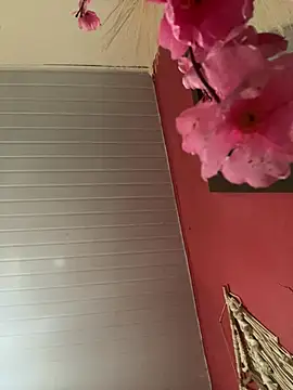 pimenta gaby online show from April 17, 3:37 pm