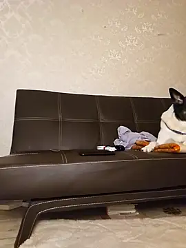 Marushka online show from December 21, 6:12 pm